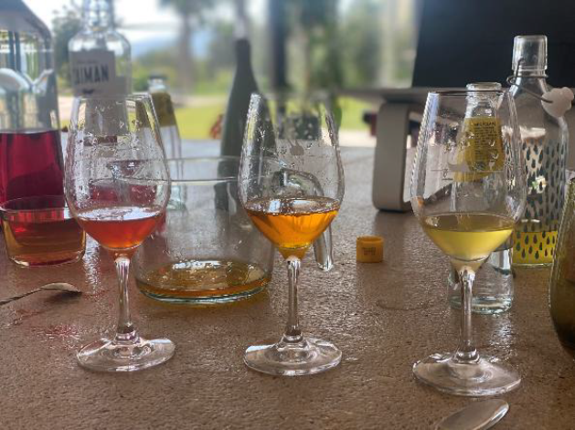 Zalud story – aperitivo tasting and cocktails